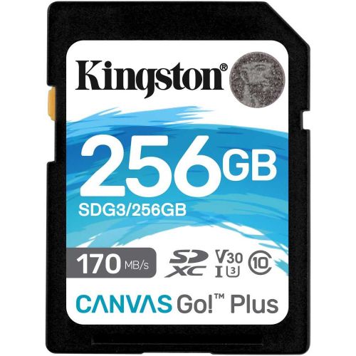   SDXC 256GB Kingston SDG3/256GB Canvas Go! Plus w/o adapter (SDG3/256GB)