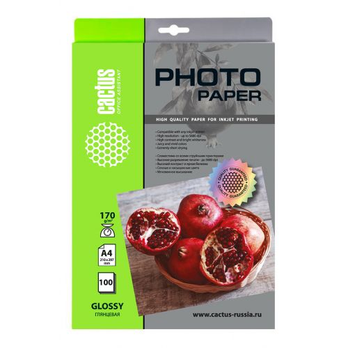 ���������� Cactus CS-GA4170100 A4/170�/�2/100�./����� ��������� ��� �������� ������ (CS-GA4170100)