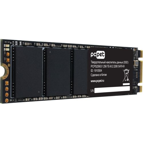  SSD PC Pet SATA-III 256GB PCPS256G1 M.2 2280 OEM (PCPS256G1)