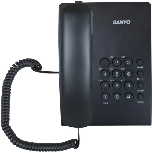   Sanyo RA-S204B  (RA-S204B)