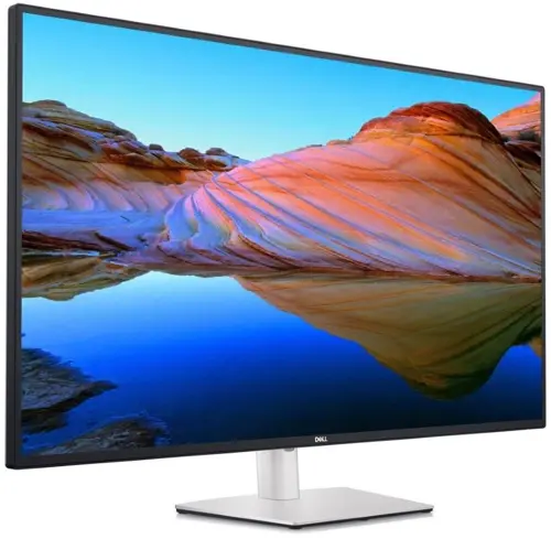  Dell 43