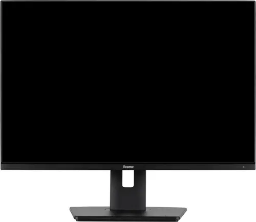  Iiyama 25