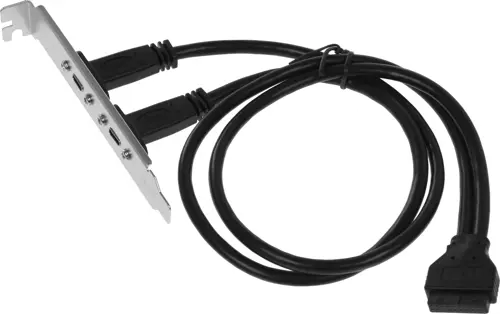 NONAME  USB 2xUSB3.1 Type-C Bulk (ASIA BRACKET USB C 2 PORT)