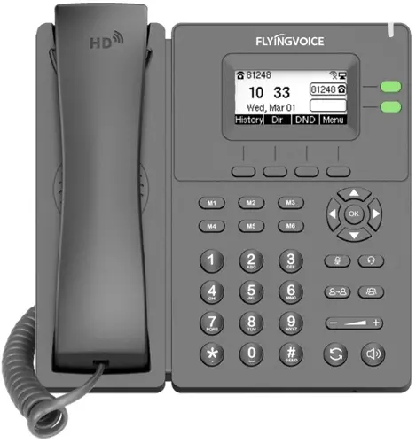  IP Flyingvoice P11  (P11)