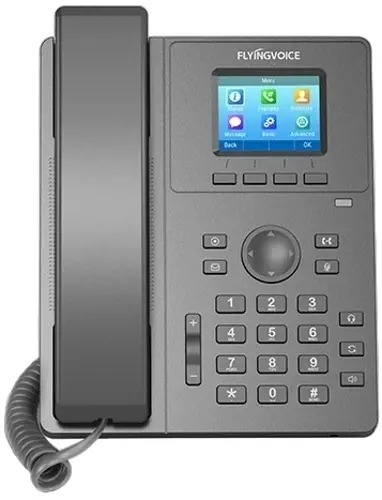 ������� IP Flyingvoice P11W ����� (P11W)