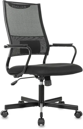 ������ ������������ �������� CH Balance ������ Elastic-102 TW-11 �����/����� �������. ������ ������ (CH BALANCE B)