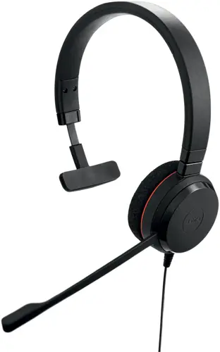    Jabra Evolve 20   USB  (4993-823-169) (4993-823-169)