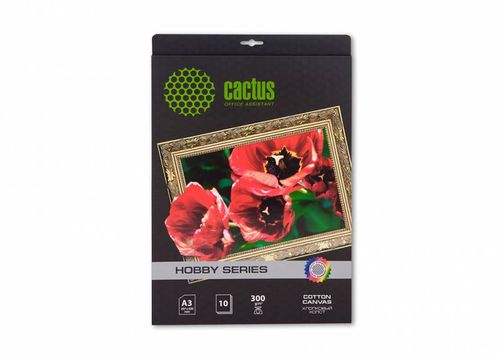 ����� Cactus CS-CA326010 A3/260�/�2/10�./����� ������ ��� �������� ������ (CS-CA326010)