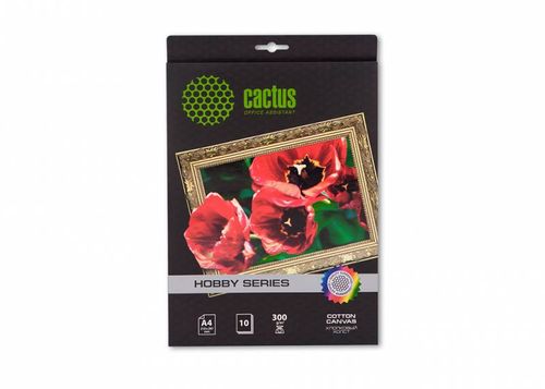 ����� Cactus CS-CA426010 A4/260�/�2/10�. ��� �������� ������ (CS-CA426010)