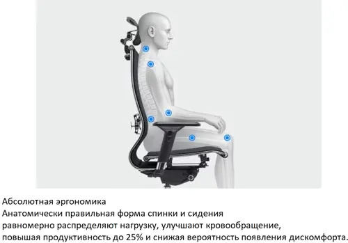 ����� ������ ������������ ������������ ����� Yoga Spine Triumph B2 (������ CC.50.15.13A) Infinity Easy Clean �������/����� � ��������. �������. �������� ���� (Z509734677)