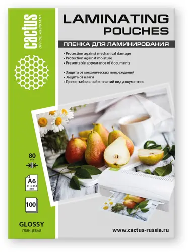 ������ ��� ������������� Cactus 80��� A6 (100��) ��������� 111x154�� CS-LPG�680100 (CS-LPG�680100)