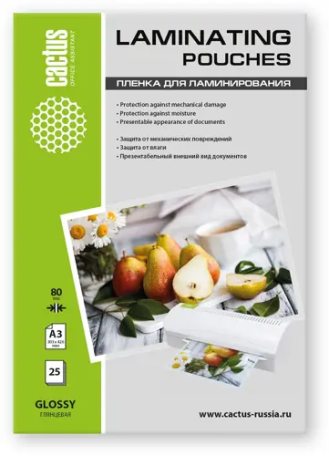 ������ ��� ������������� Cactus 80��� A3 (25��) ��������� 303x426�� CS-LPG�38025 (CS-LPG�38025)
