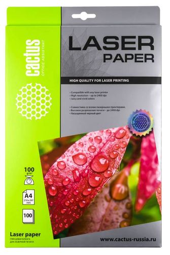 ���������� Cactus CS-LPA4100100 A4/100�/�2/100�./����� ��������� ��� �������� ������ (CS-LPA4100100)